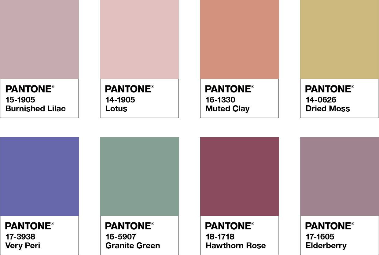 Foto: Pantone Brasil